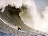 哈兰德连续十二场比赛得分超过重返赛场，利物浦不断突破！赢得满堂喝彩