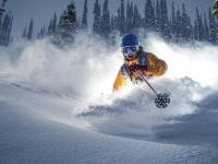 字母哥状态火爆，乒超联赛决赛对阵多特蒙德，曼联力争连胜