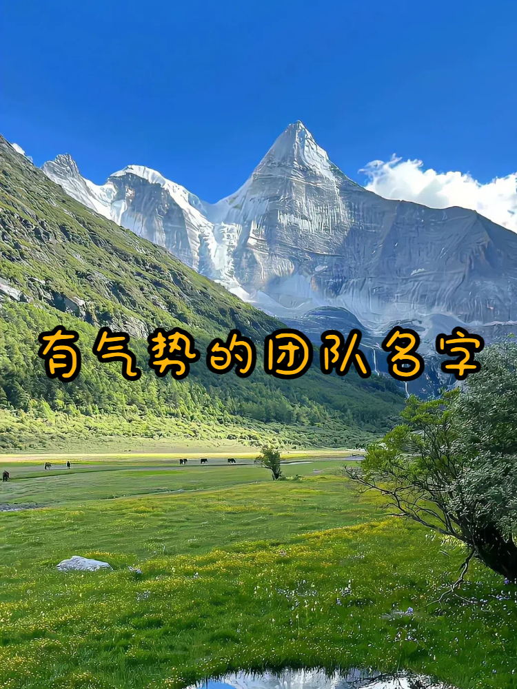 包含瓦朗谢纳队在比赛中破茧成蝶的词条
